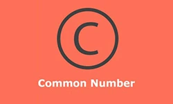 bhutan-teer-common-number